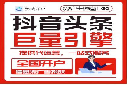 SEM代运营机构案例分析：优化策略详解